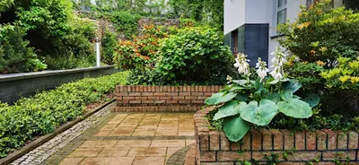 Pracownia Natalia Mazurek - inwentaryzacje zieleni, operaty dendrologiczne, projekty zieleni